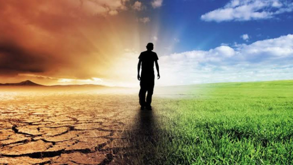 Etiketin Arkasındaki Vicdan: Helalin ve Hilenin Arasındaki İnce Çizgi